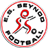 ES Seynod