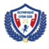 Olympique Lyon Sud